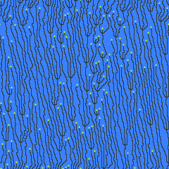 20250623_01_out_wfc_wakame